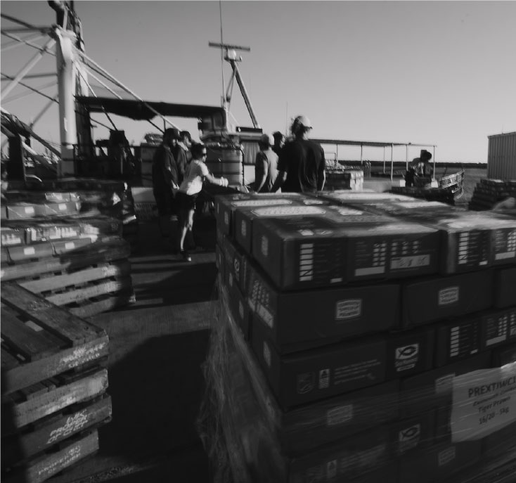 celebraty-history-imae