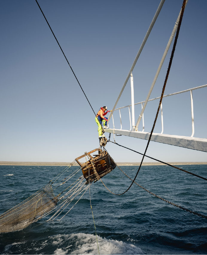 presented-by-harvest-image