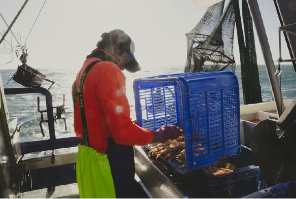 shipping-future-image